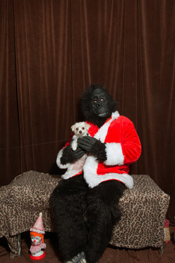 Andrew Krieger, Gorilla Santa, JC HUDSEARS